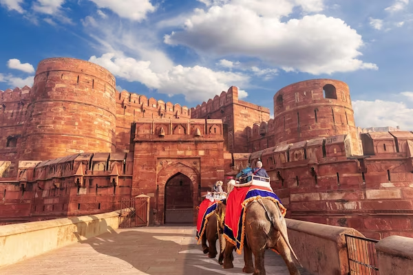 Best Golden Triangle Tour Package