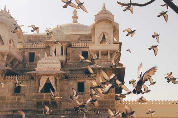 Best Udaipur Honeymoon Tour Package