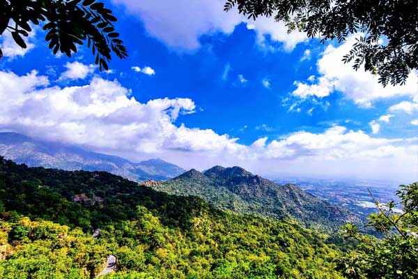 Special Tour Udaipur, Mount Abu Jaisalmer And Jodhpur Package